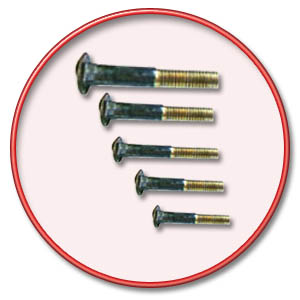 Silicon Bronze Carriage Bolts 10-24